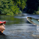 Illustration for article titled Michael Moore Questions Asian Carp On Role In Destroying Ecosystems In First Nature Documentary